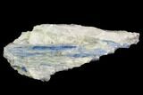 Vibrant Blue Kyanite Crystals In Quartz - Brazil #118862-1